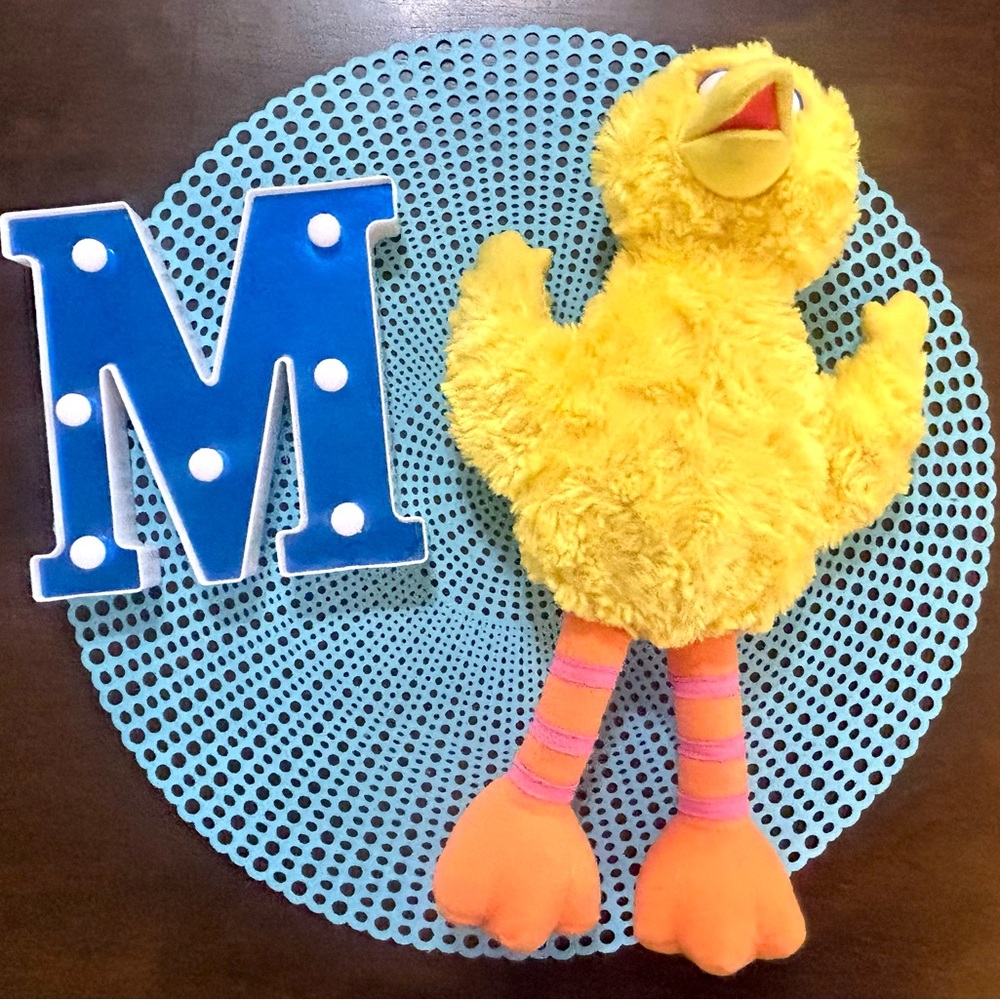 Sesame Street Takalani Big Bird 15" Plush Soft Toy Stuffed Animal; 2008